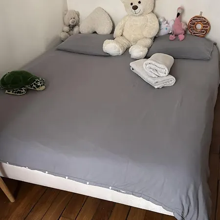 Elegant Haussmann - Champs-elysees * パリ